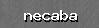 Enter anti spam code